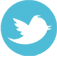 twitter-icon